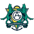 龙仁FC