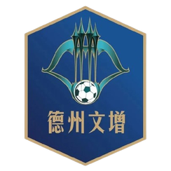 泰安队